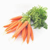 Load image into Gallery viewer, Carrot Organic Nutrition