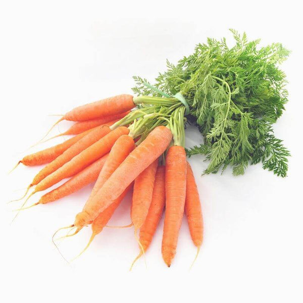 Carrot Organic Nutrition